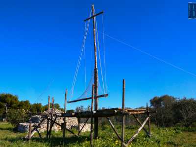 Con loro cominciamo a visitare il parco, il quale � introdotto da una struttura formata da una pedana che al centro ospita un�alta croce realizzata dagli scout 